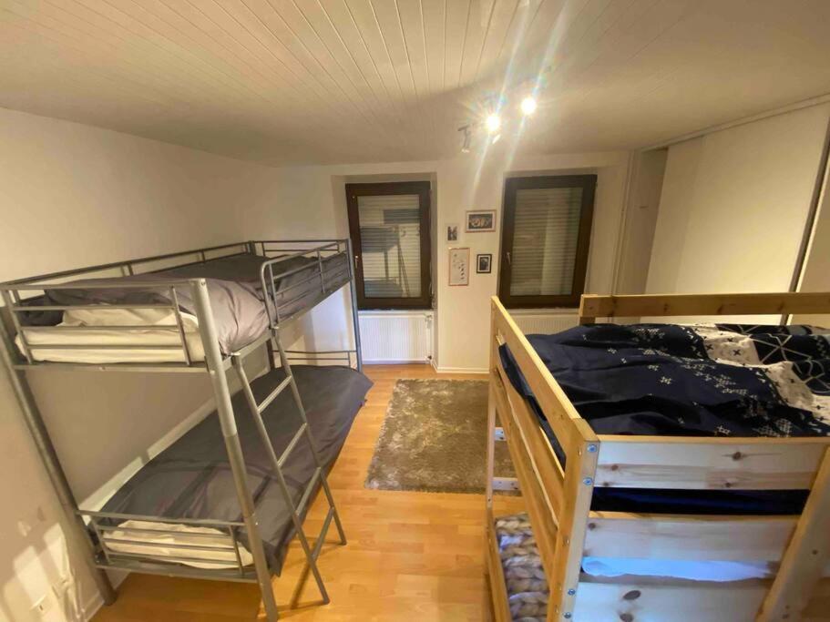 Appartement Emile Galle. Goetzenbruck Dış mekan fotoğraf